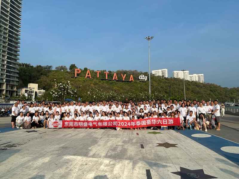 중국 Shenzhen Mysun Insulation Materials Co., Ltd. 회사 프로필